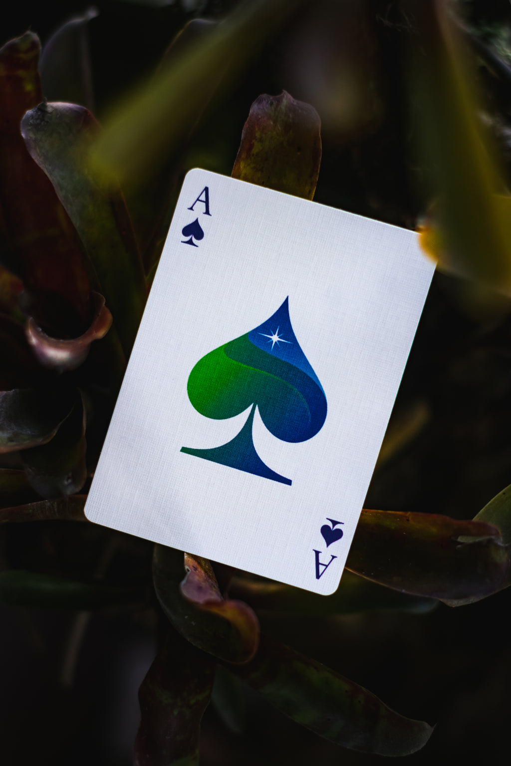 Aurora Playing Cards - Magic Deck by EmilySleights52

