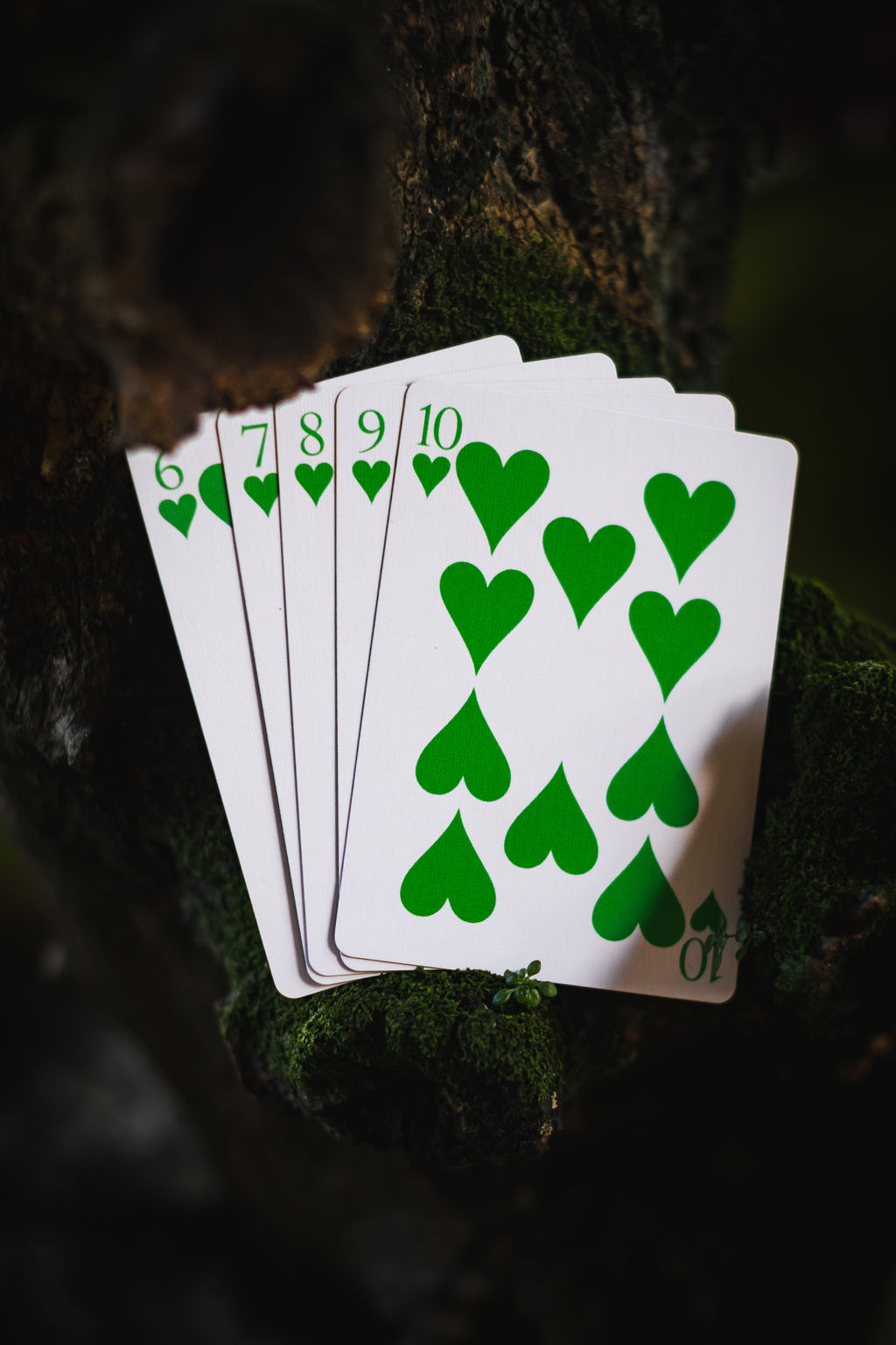 Aurora Playing Cards