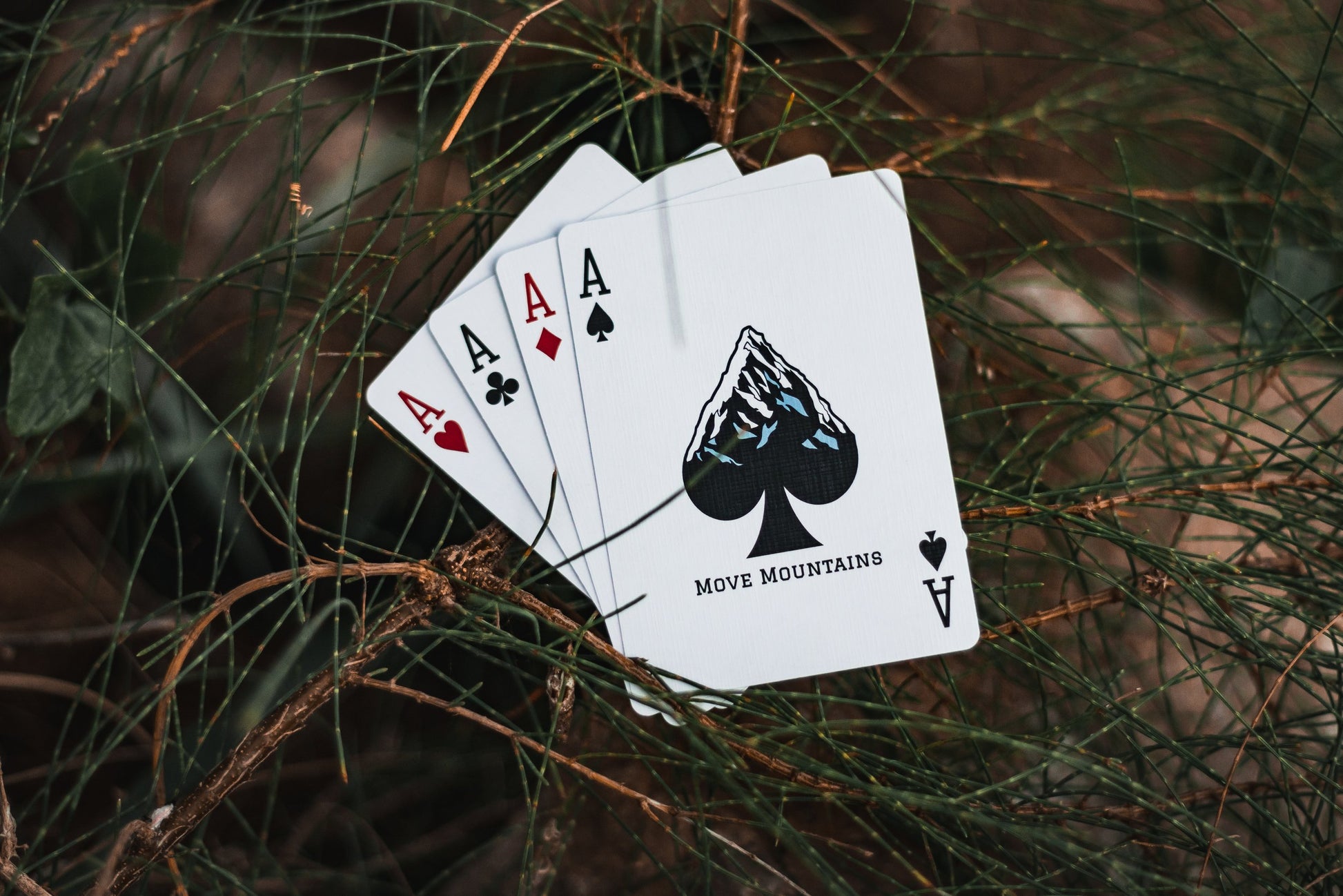 Elevation: Day Edition Playing Cards | EmilySleights52