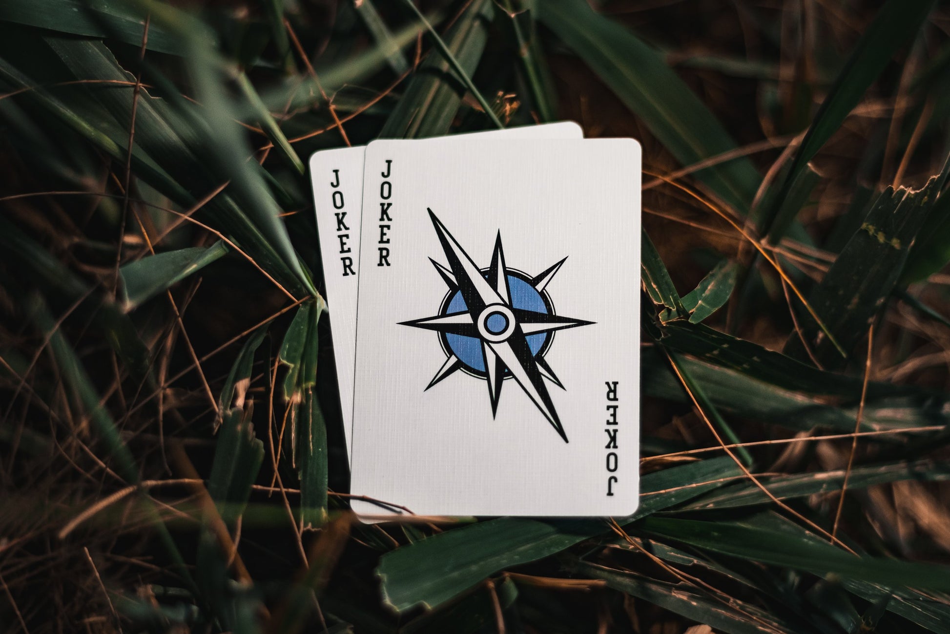 Elevation: Day Edition Playing Cards | EmilySleights52