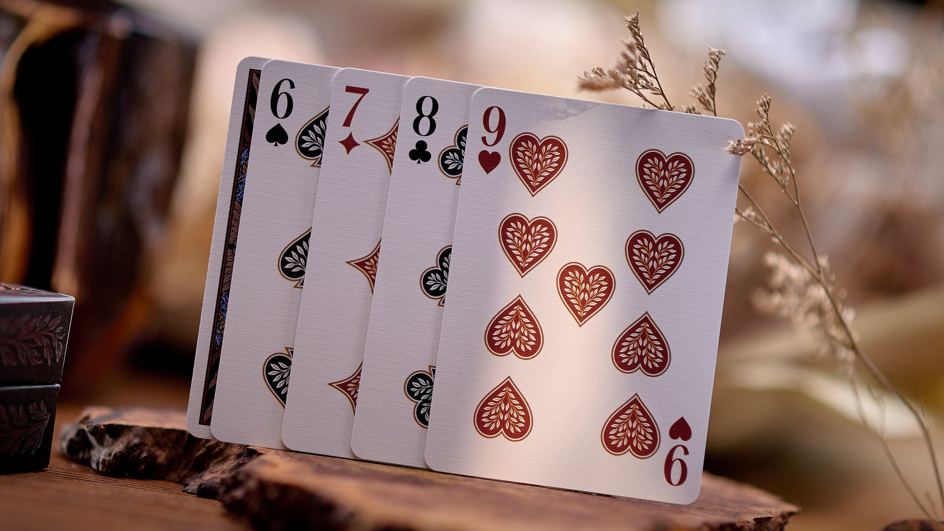 Nocturnal Playing Cards