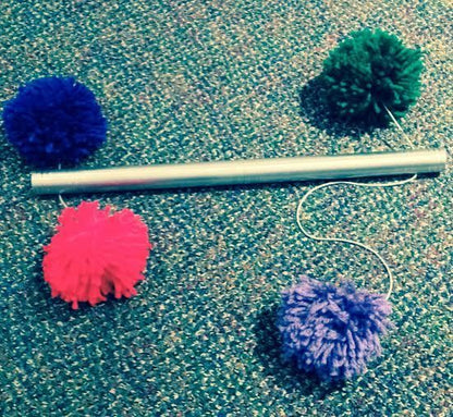 Pom Pom Pole - Professional Precision Perfection